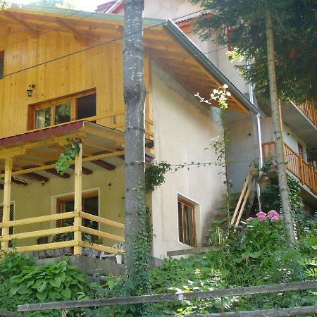 Mountain Sun Guest House Tsjiflik Eksteriør bilde