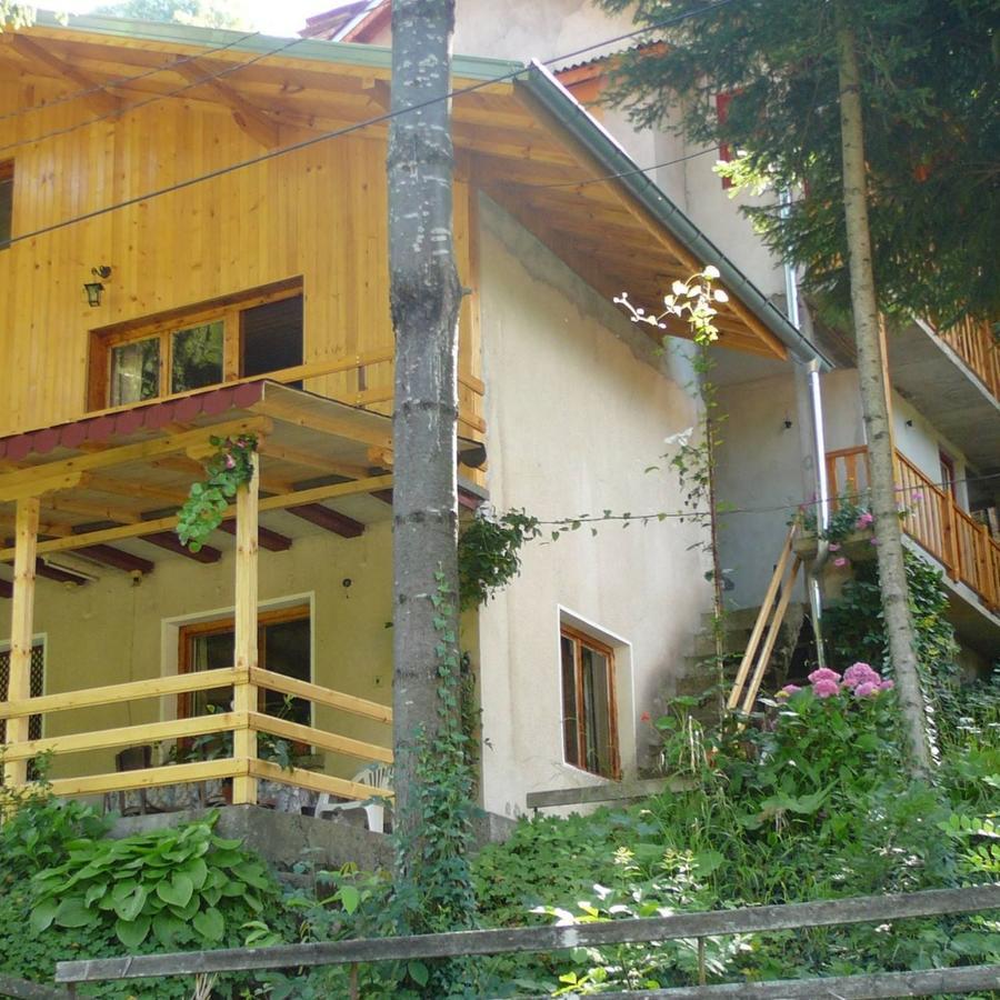 Mountain Sun Guest House Tsjiflik Eksteriør bilde